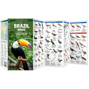 BRAZIL BIRDS. A FOLDING POCKET GUIDE TO FAMILIAR SPECIES_1